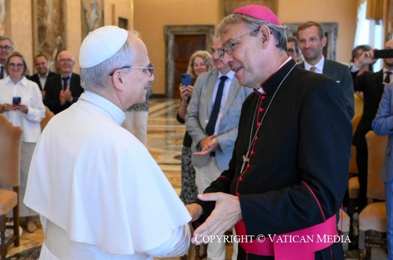 Ce que le pape Léon a dit à des élus français sur la charité sociale et politique