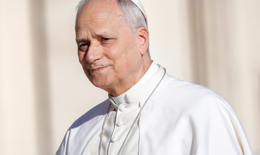 Le Pape souhaite un réveil des consciences face au réarmement