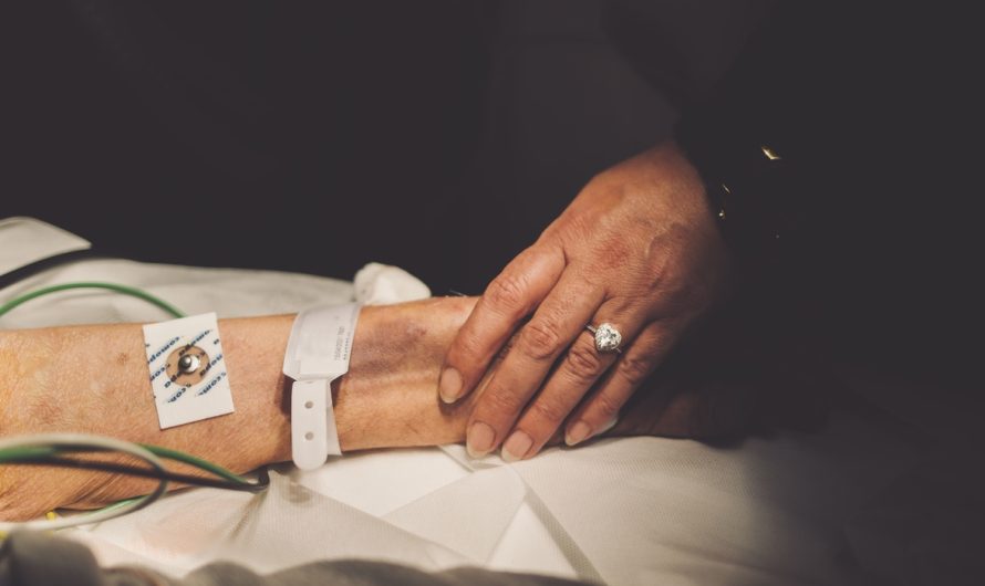 Ne laissons pas croire que l’euthanasie est une mort douce