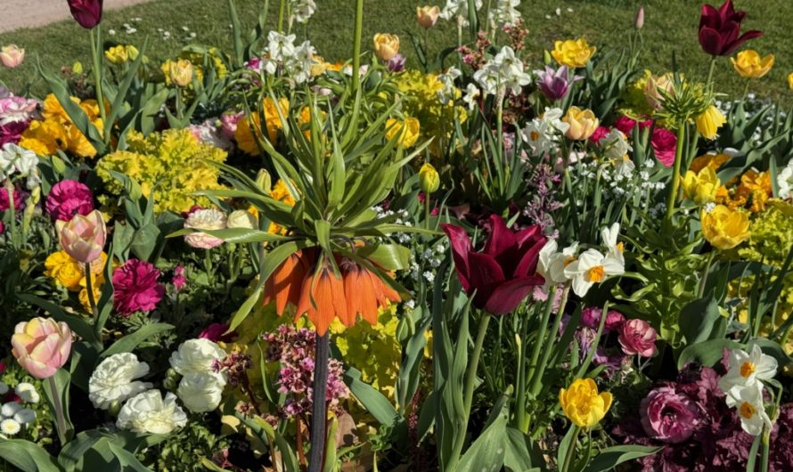 Miracles et guérisons : pourquoi l&rsquo;Église est-elle si prudente ? …