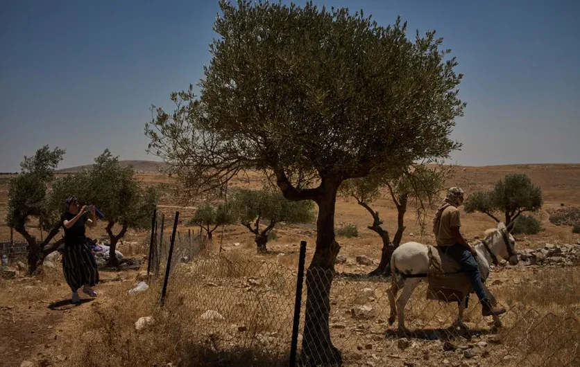 Taybeh, ce dernier village chrétien de Cisjordanie qui « vit dans la peur permanente des attaques » israéliennes